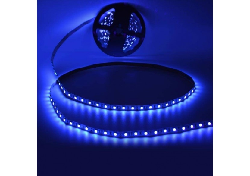 Ruban LED Ultra Violet 12V SMD 5050 5M - B1538UV - Barcelona LED Ruban LED Ultra Violet 12V SMD 5050 5M - B1538UV - Barcelona LED
