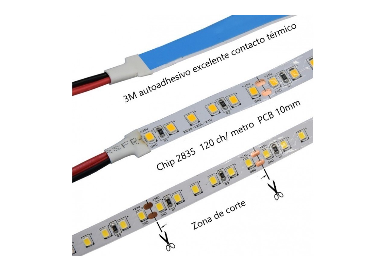 Ruban LED 24V DC spécial boucherie-18W/m-IP20-Rouleau de 5m-120 LED/m - B1552-CAR - Barcelona LED