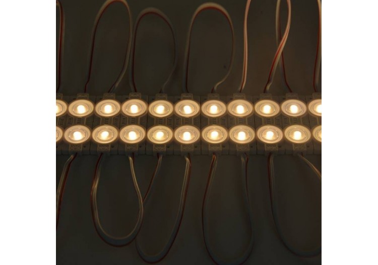 Module LED SMD2835 1.2W 12V IP65 pour enseigne commerciale (1U) - BM1421BC - Barcelona LED 2