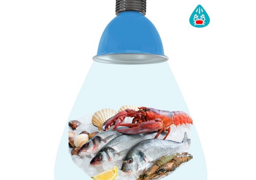 Cloche LED 30W spécial poissons et fruits de mer - B8700-AZ-PYM - Barcelona LED