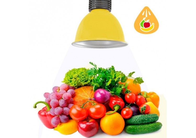 Cloche LED 30W spécial fruits et légumes - B8700-AM-FYV - Barcelona LED