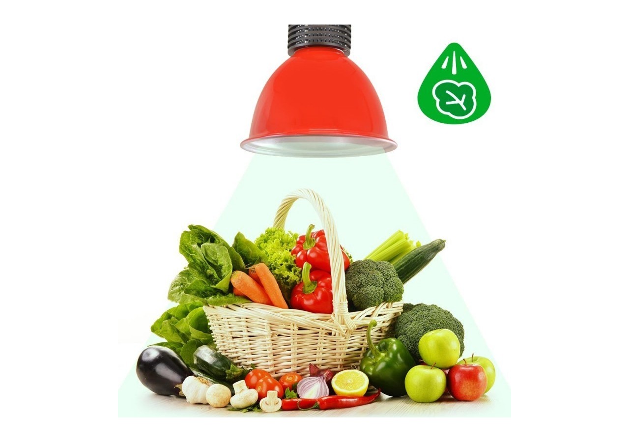 Cloche LED 30W spécial légumes verts - B8700-RO-VER - Barcelona LED