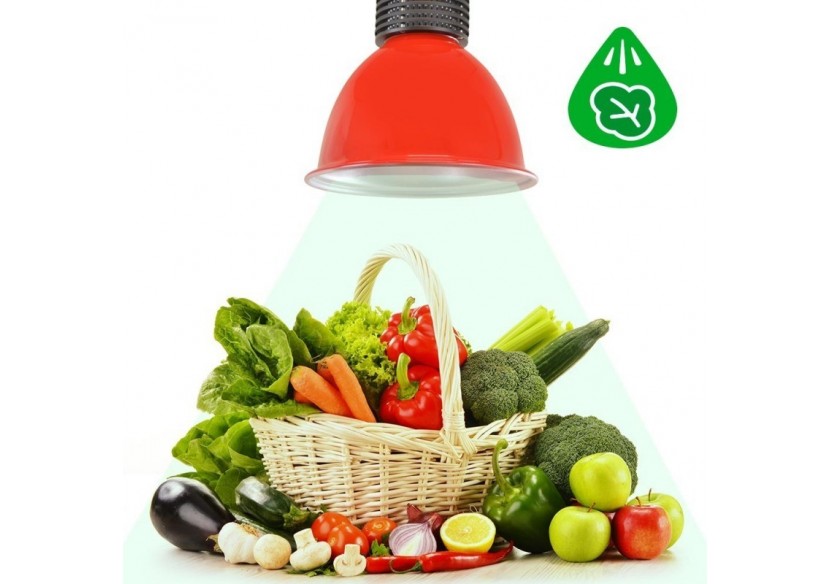 Cloche LED 30W spécial légumes verts - B8700-RO-VER - Barcelona LED