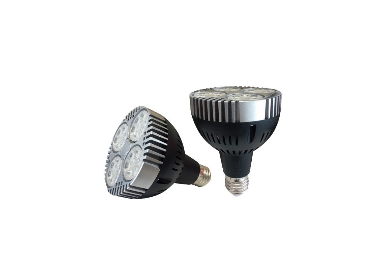 Ampoule LED E27 35W PAR30 2800lm - B906BN - Barcelona LED