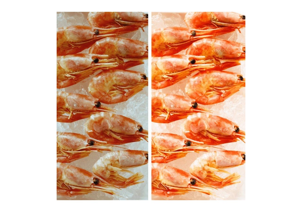 Projecteur LED sur rail monophasé spécial poissonneries-Driver Philips-LED COB-40W - B00574-N-PES - Barcelona LED