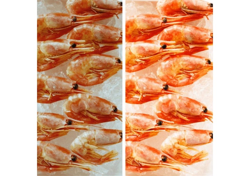 Projecteur LED sur rail monophasé spécial poissonneries-Driver Philips-LED COB-40W - B00574-N-PES - Barcelona LED Projecteur LED sur rail monophasé spécial poissonneries-Driver Philips-LED COB-40W - B00574-N-PES - Barcelona LED