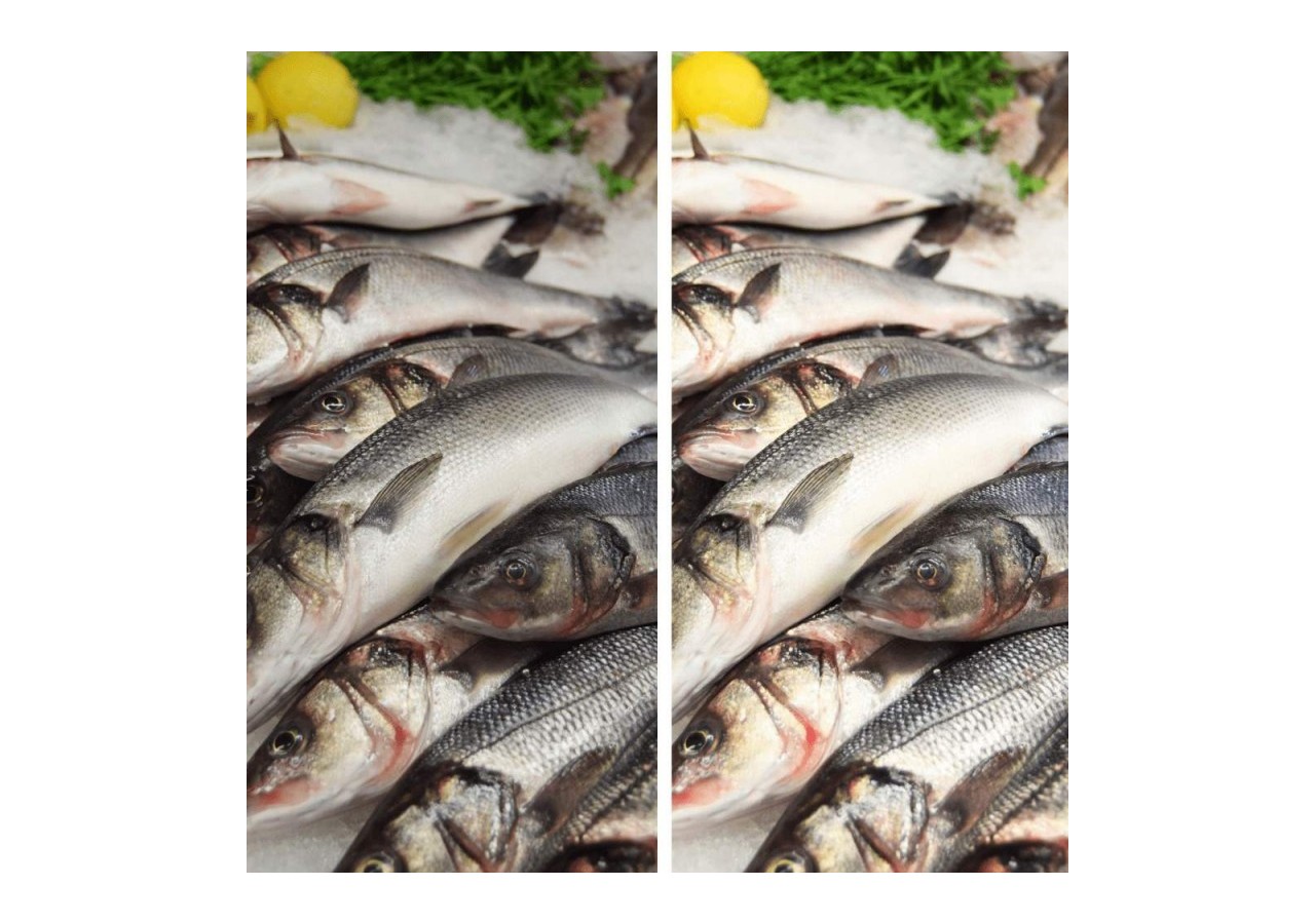 Projecteur LED sur rail monophasé spécial poissonneries-Driver Philips-LED COB-40W - B00574-N-PES - Barcelona LED