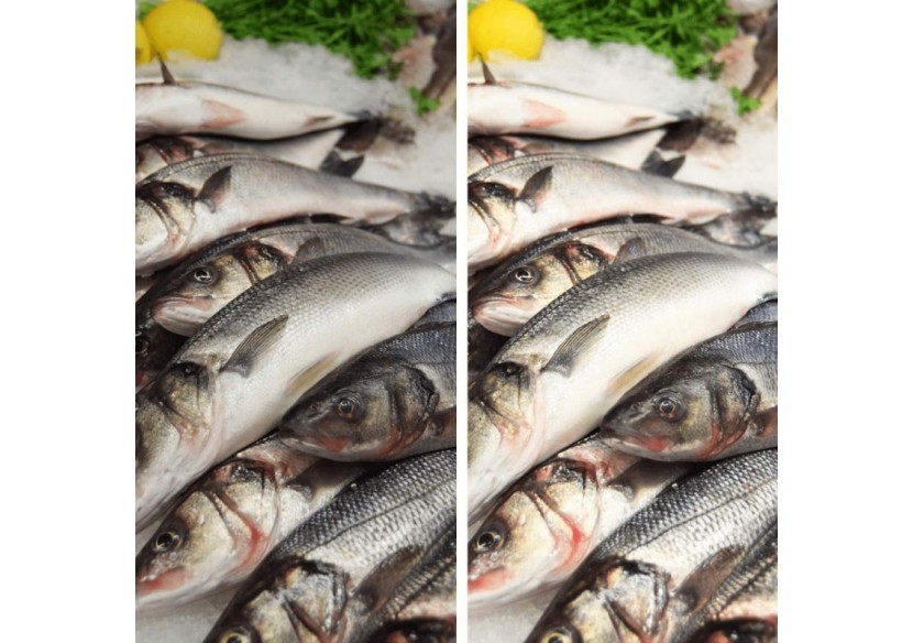 Projecteur LED sur rail monophasé spécial poissonneries-Driver Philips-LED COB-40W - B00574-N-PES - Barcelona LED Projecteur LED sur rail monophasé spécial poissonneries-Driver Philips-LED COB-40W - B00574-N-PES - Barcelona LED