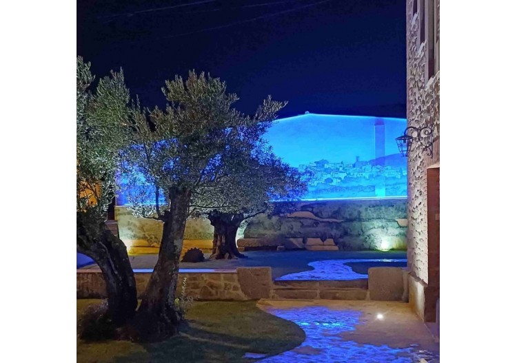 Lèche-mur LED flexible RGB 24V DC-5m-IP67 - B1939-RGB - Barcelona LED 2