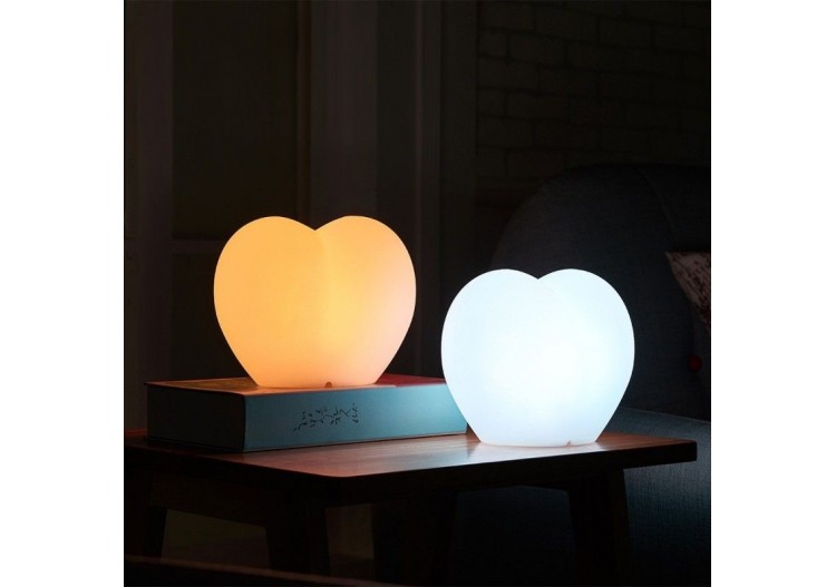 Coeur lumineux LED RGBW sans fil 1W 20cm IP65 - MU4001 - Barcelona LED 2