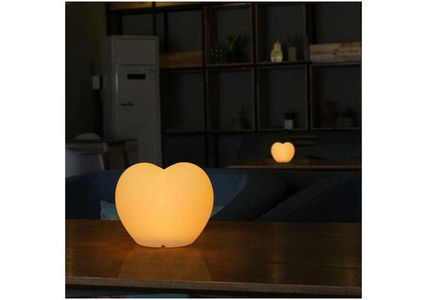 Coeur lumineux LED RGBW sans fil 1W 20cm IP65 - MU4001 - Barcelona LED