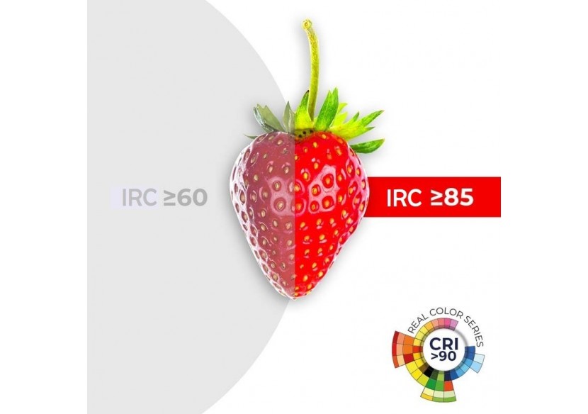 Ampoule LED RGBW A60 E27 9W avec télécommande - BC1-E27A60-RGBW - Barcelona LED