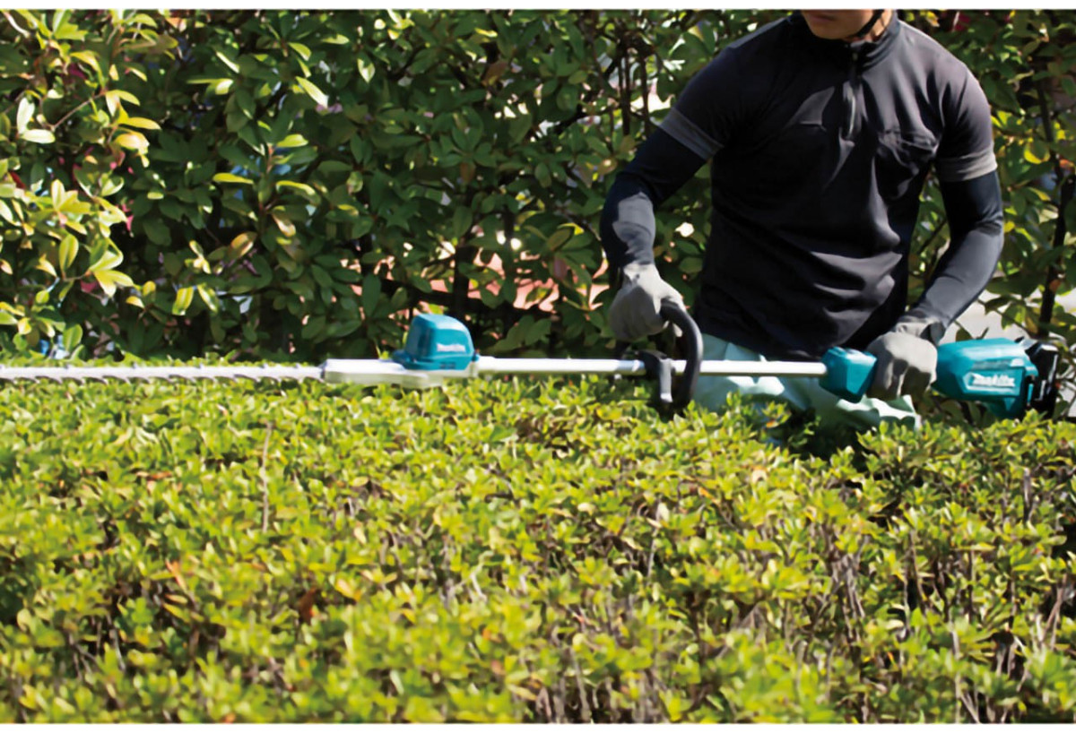 Taille-haie à perche 18 V Li-Ion 60 cm - Makita : Confort'Mat