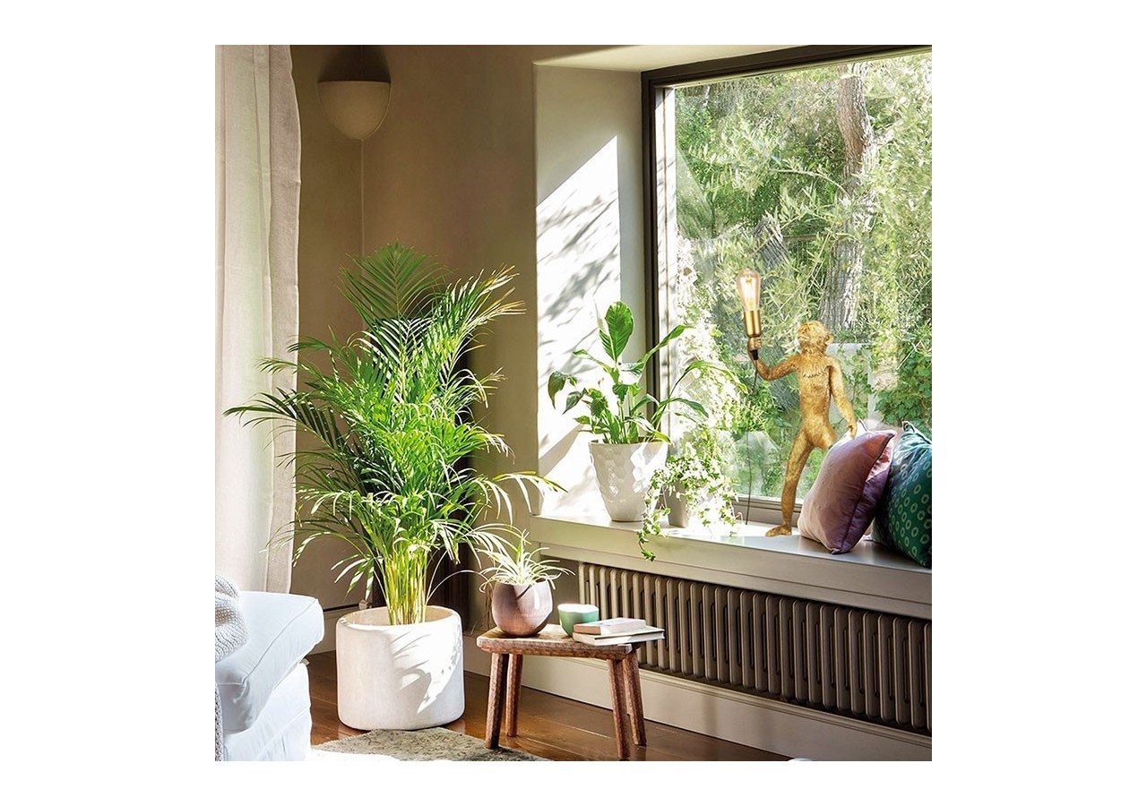 Lampe design singe en résine "Micu" - L4030-MP - Barcelona LED