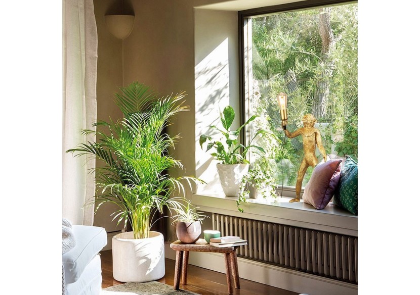 Lampe design singe en résine "Micu" - L4030-MP - Barcelona LED Lampe design singe en résine "Micu" - L4030-MP - Barcelona LED