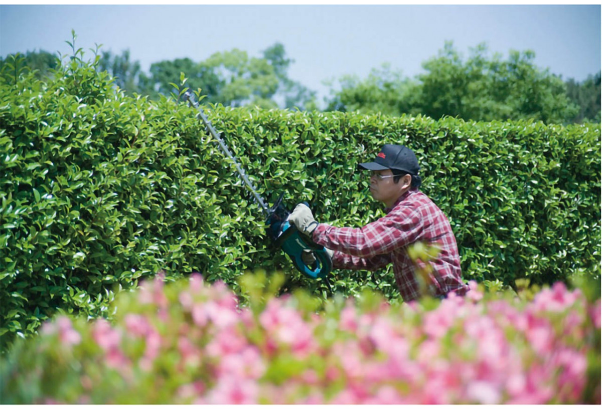 Taille-haies électriques PRO 670W - Makita : Confort'Mat