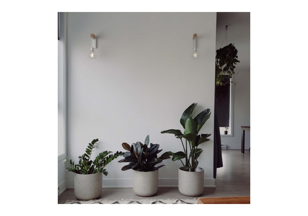 Applique murale cage "RODEN" - LM133-B - Barcelona LED