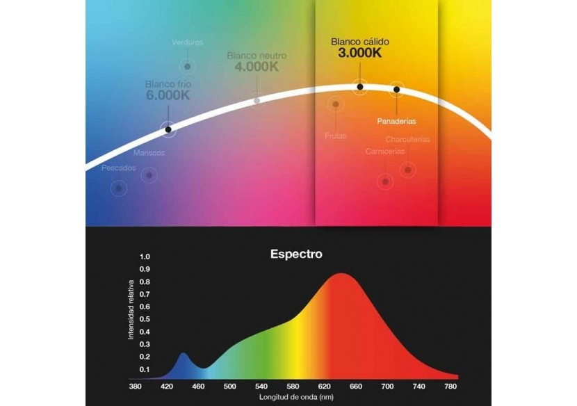 Spot LED triphasé de 30W spécialement conçu pour les boulangeries - B00591-B-PAN - Barcelona LED