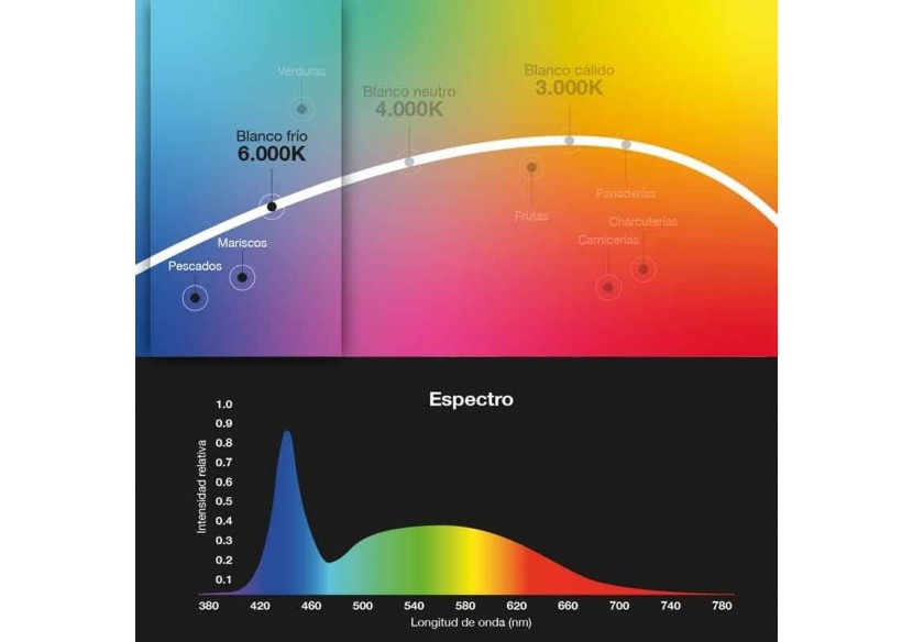 Spot LED triphasé 30W spécial poissons et fruits de mer - B00591-N-PES - Barcelona LED