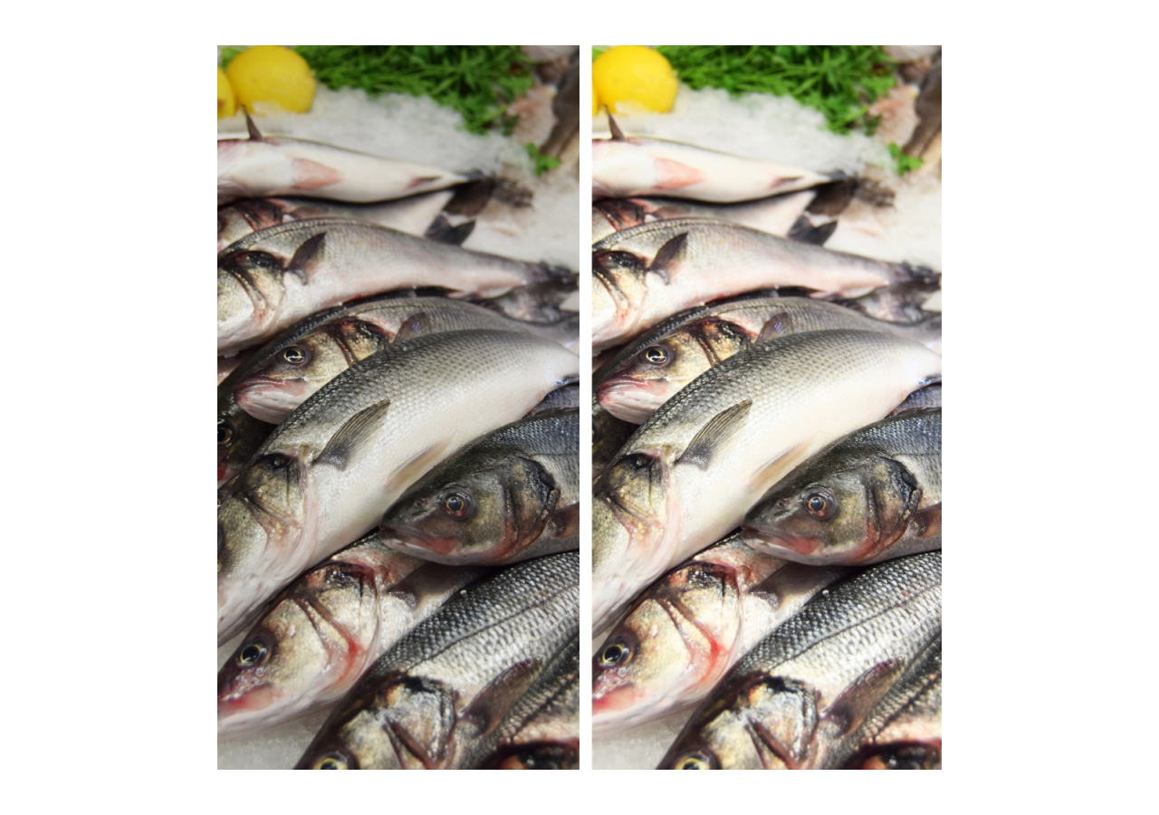 Spot LED triphasé 30W spécial poissons et fruits de mer - B00591-N-PES - Barcelona LED