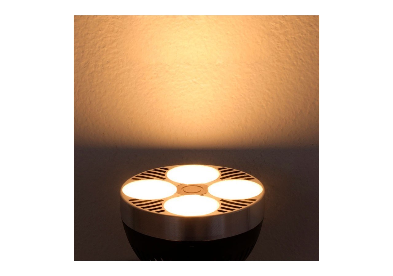 Kit projecteur "CINEMA" orientable pour rail avec ampoule LED PAR30 E27 - K233-BC - Barcelona LED