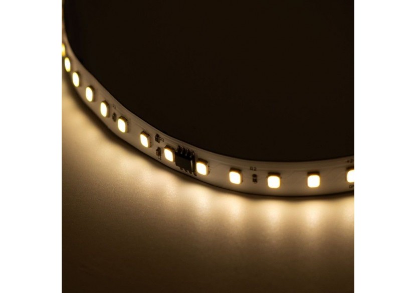 Ruban LED monochrome intelligent IC 24V DC-15W/m-IP20-120LED/m-Largeur 10mm-10m - B1577-BN - Barcelona LED