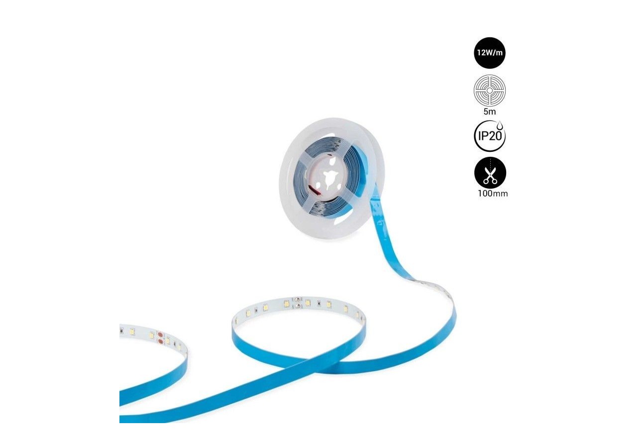 Ruban LED 24V DC-12W/m-Monochrome-10mm-IP20 -5m-SMD2835 60LED/m - B1653-BN - Barcelona LED