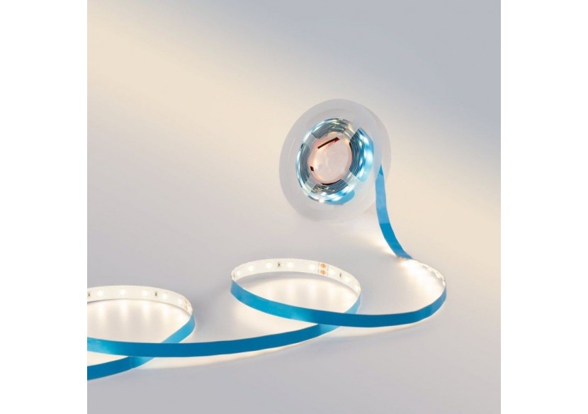 Ruban LED 24V DC-12W/m-Monochrome-10mm-IP20 -5m-SMD2835 60LED/m - B1653-BN - Barcelona LED