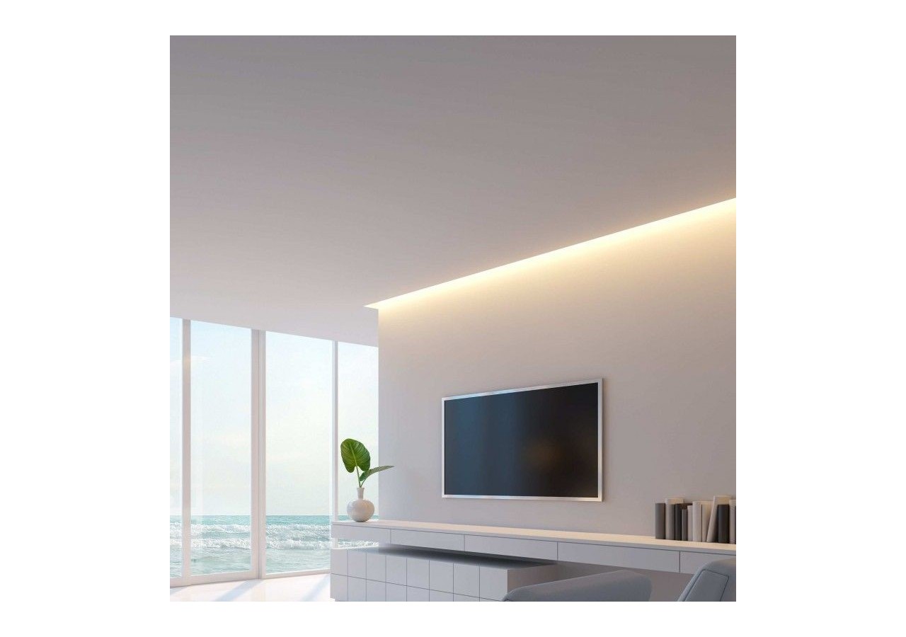 Ruban LED 24V DC-12W/m-Monochrome-10mm-IP20 -5m-SMD2835 60LED/m - B1653-BN - Barcelona LED