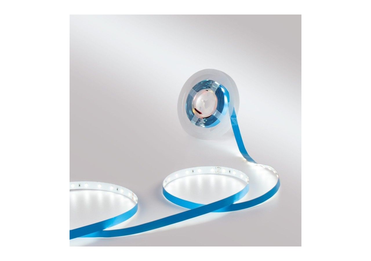 Ruban LED 24V DC-12W/m-Monochrome-10mm-IP20 -5m-SMD2835 60LED/m - B1653-BF - Barcelona LED