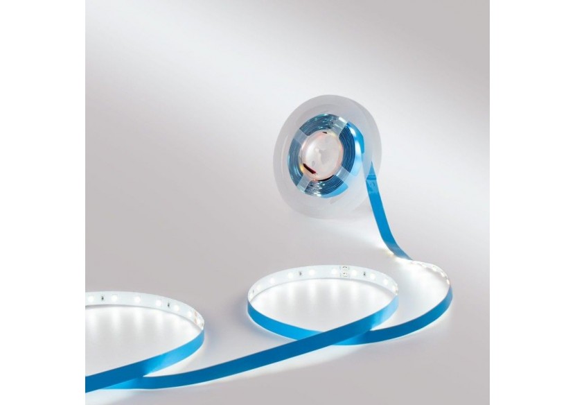 Ruban LED 24V DC-12W/m-Monochrome-10mm-IP20 -5m-SMD2835 60LED/m - B1653-BF - Barcelona LED