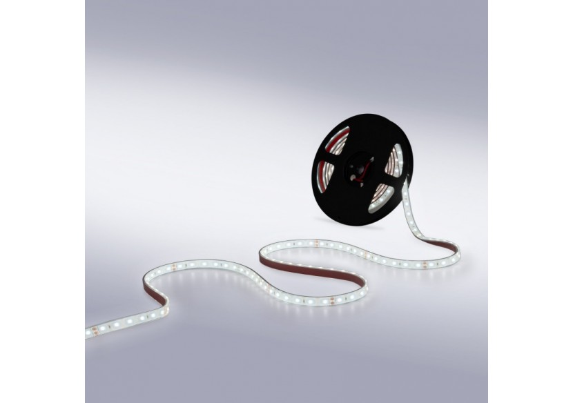 Ruban LED 24V DC-12W/m-Monochrome-12mm-IP67-5m-SMD2835 60 puces/m - B1653-IP67-BN - Barcelona LED