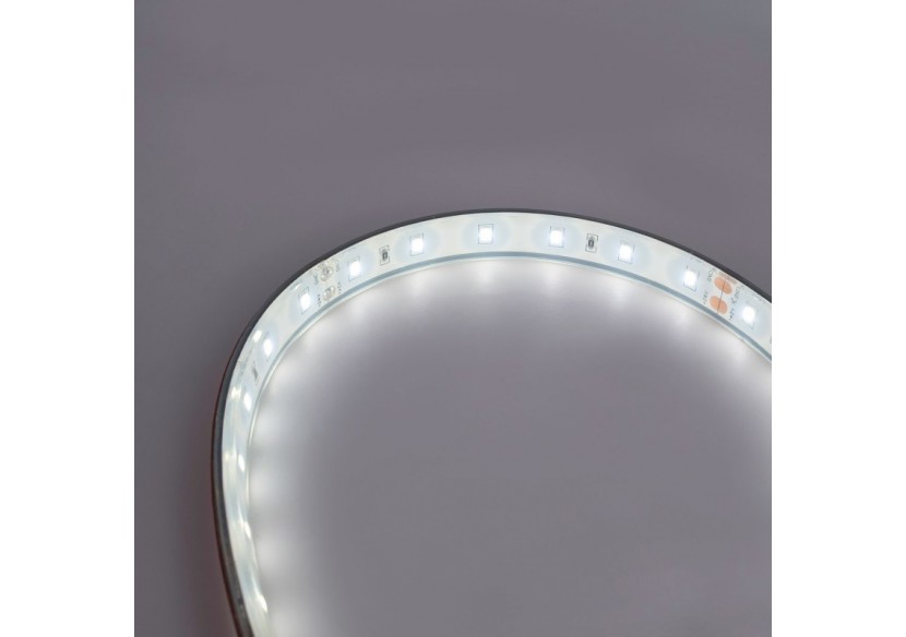 Ruban LED 24V DC-12W/m-Monochrome-12mm-IP67-5m-SMD2835 60 puces/m - B1653-IP67-BN - Barcelona LED