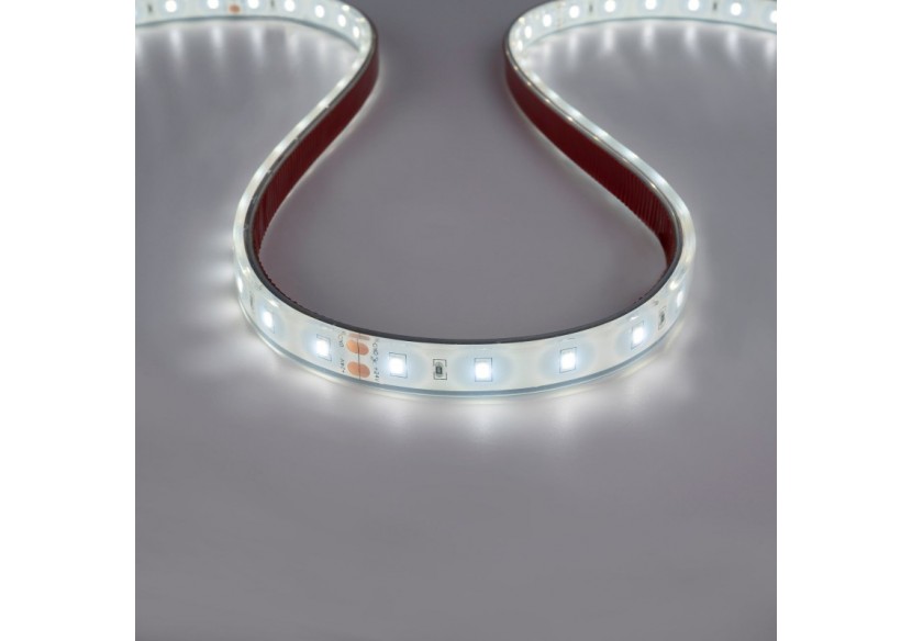 Ruban LED 24V DC-12W/m-Monochrome-12mm-IP67-5m-SMD2835 60 puces/m - B1653-IP67-BN - Barcelona LED