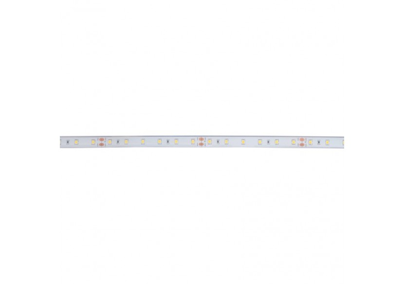 Ruban LED 24V DC-12W/m-Monochrome-12mm-IP67-5m-SMD2835 60 puces/m - B1653-IP67-BN - Barcelona LED