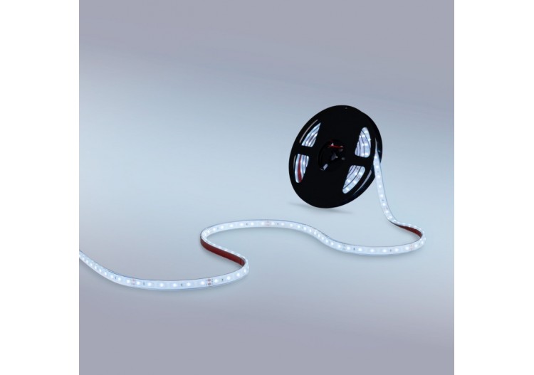 Ruban LED 24V DC-12W/m-Monochrome-12mm-IP67-5m-SMD2835 60 puces/m - B1653-IP67-BF - Barcelona LED 2