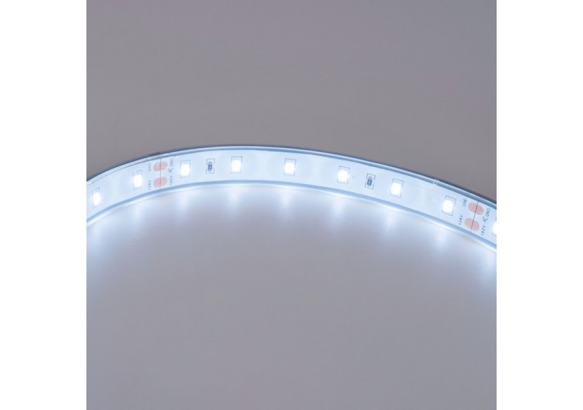 Ruban LED 24V DC-12W/m-Monochrome-12mm-IP67-5m-SMD2835 60 puces/m - B1653-IP67-BF - Barcelona LED