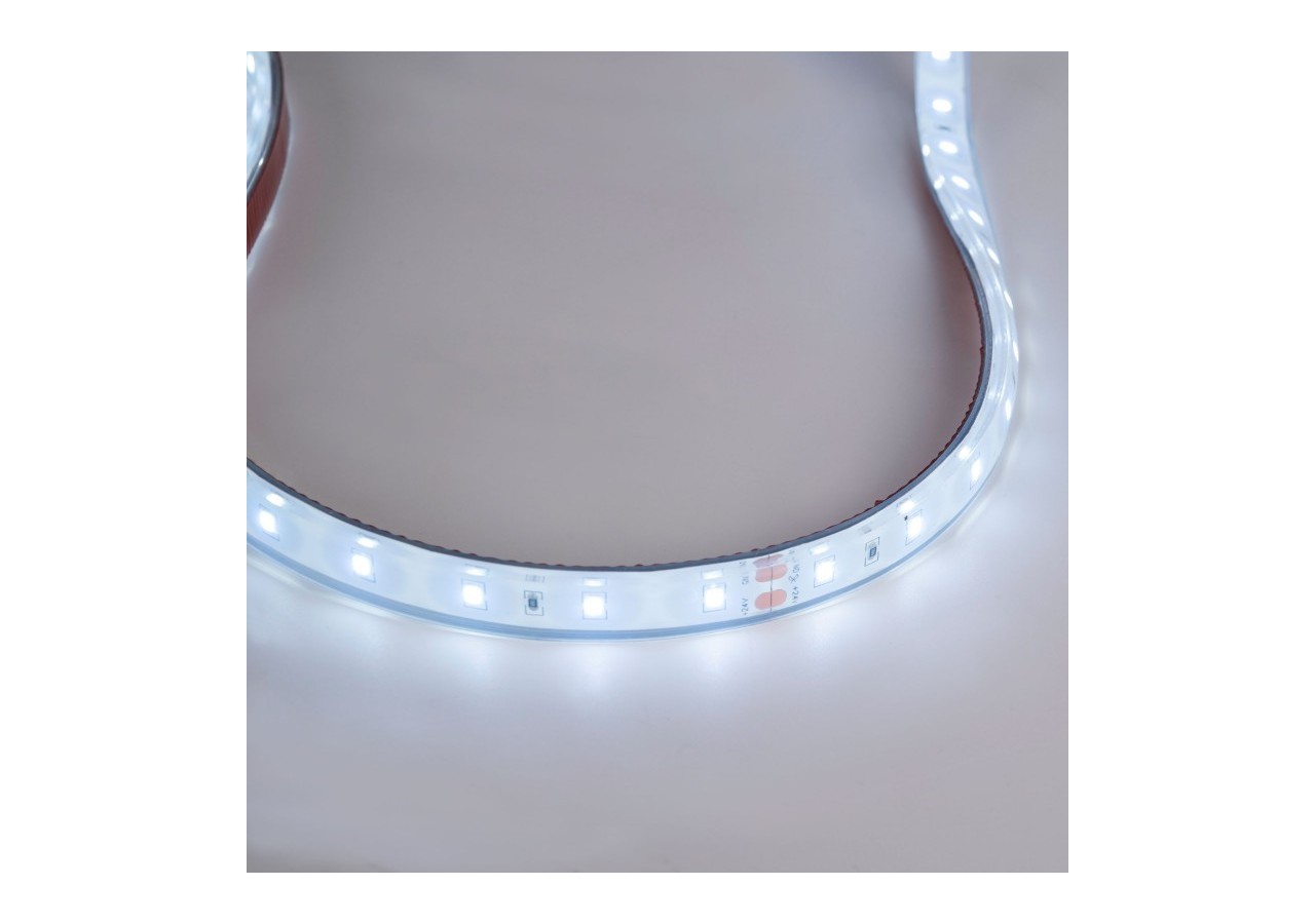 Ruban LED 24V DC-12W/m-Monochrome-12mm-IP67-5m-SMD2835 60 puces/m - B1653-IP67-BF - Barcelona LED