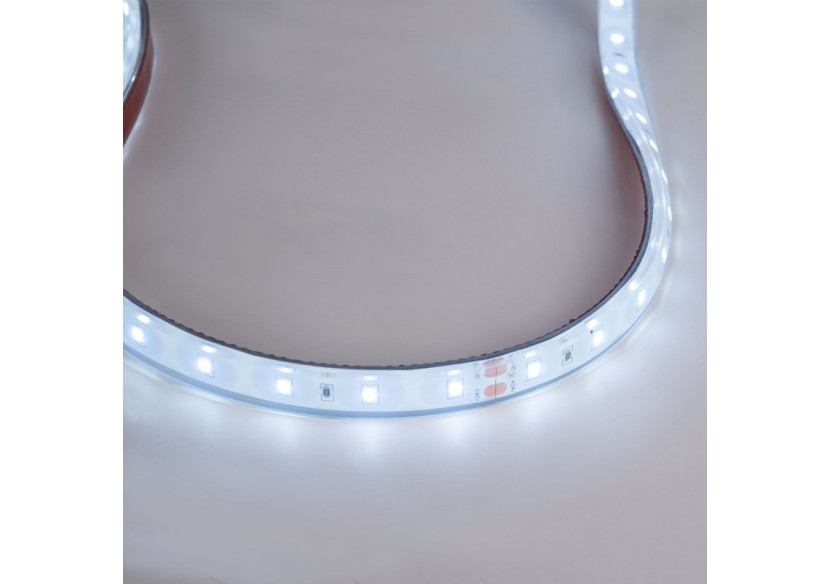 Ruban LED 24V DC-12W/m-Monochrome-12mm-IP67-5m-SMD2835 60 puces/m - B1653-IP67-BF - Barcelona LED