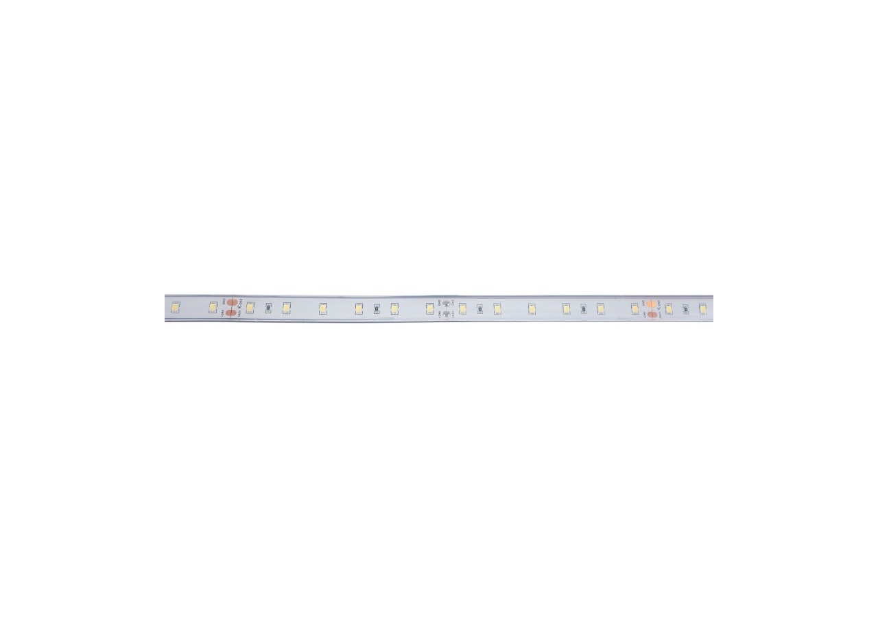 Ruban LED 24V DC-12W/m-Monochrome-12mm-IP67-5m-SMD2835 60 puces/m - B1653-IP67-BF - Barcelona LED