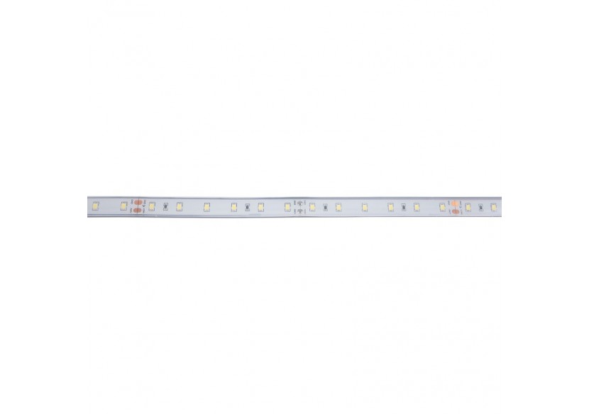 Ruban LED 24V DC-12W/m-Monochrome-12mm-IP67-5m-SMD2835 60 puces/m - B1653-IP67-BF - Barcelona LED