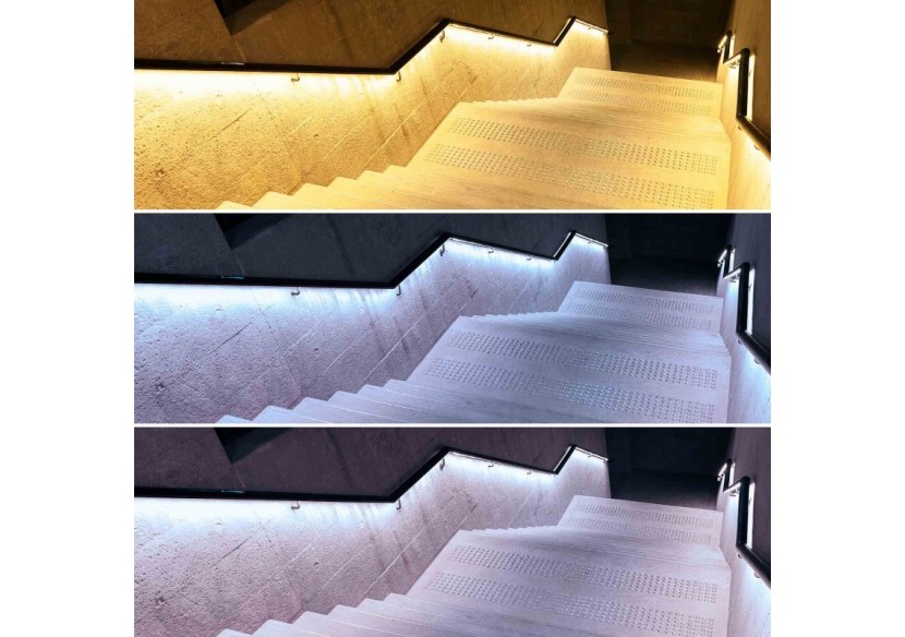 Ruban LED 24V DC-12W/m-Monochrome-12mm-IP67-5m-SMD2835 60 puces/m - B1653-IP67-BF - Barcelona LED