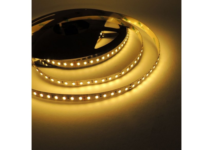 Ruban LED 24V DC-18W/m-Monochrome-10mm-IP20-Rouleau de 5m-120ch/m - B1552-2701 - Barcelona LED