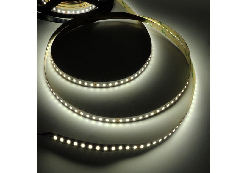 Ruban LED 24V DC-18W/m-Monochrome-10mm-IP20-Rouleau de 5m-120ch/m - B1552BN1 - Barcelona LED