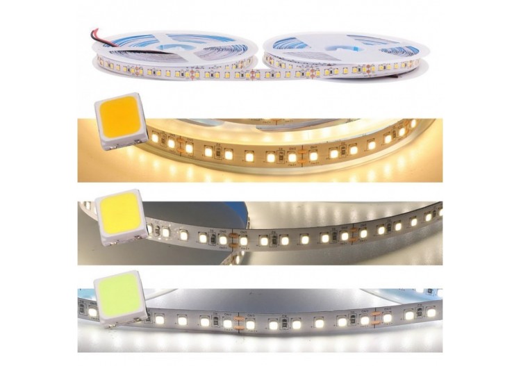 Ruban LED 24V DC-18W/m-Monochrome-10mm-IP20-Rouleau de 5m-120ch/m - B1552-5K1 - Barcelona LED