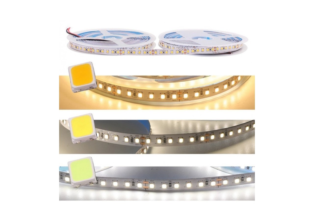 Ruban LED 24V DC-18W/m-Monochrome-10mm-IP20-Rouleau de 5m-120ch/m - B1552-5K1 - Barcelona LED