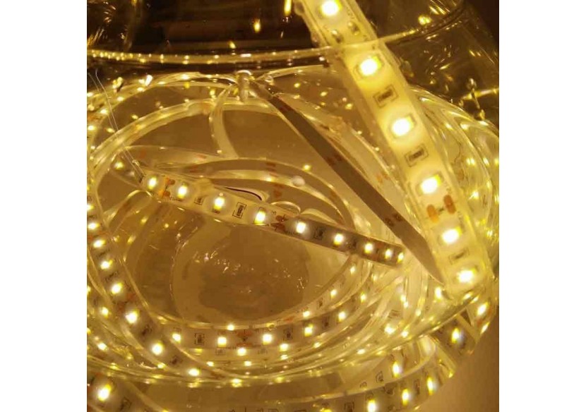 Ruban LED 12V DC SMD 5630 75W IP67 5M - B1543-5630BC - Barcelona LED