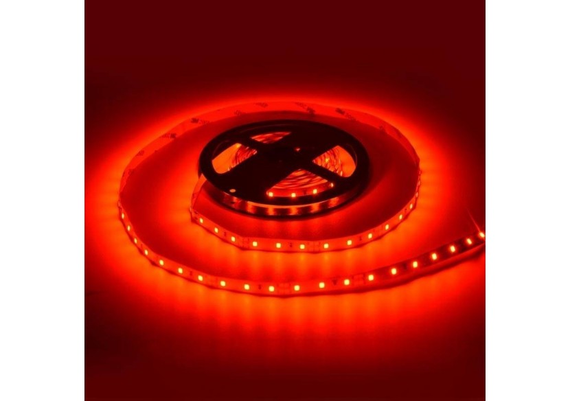 Ruban LED 12V DC 50W SMD2835 IP20 5m - B1539RO - Barcelona LED