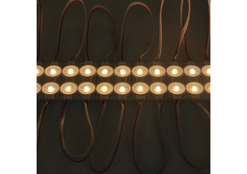 Module LED SMD2835 1.2W 12V IP65 pour enseigne commerciale (1U) - BM1421BC - Barcelona LED