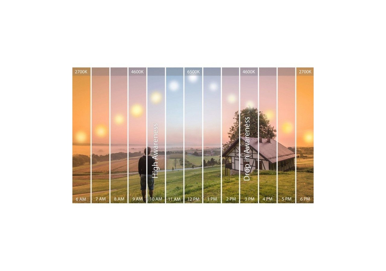 Ampoule LED GU10 7W SMD 2835 665lm diamètre 50mm 120 degrés - B522BC2 - Barcelona LED